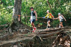 BIB: 
                            <button type="button" onclick="openModal(27552862)" class="btn btn-primary btn-sm float-right btn-popup" data-toggle="modal" data-target=".modal-high-quality">
                        <i class="fas fa-shopping-cart"></i> Add to Cart
                    </button>
                                            <button type="button" onclick="isThisMe(27552862, true)" class="btn btn-success btn-sm float-right btn-popup btn-isme hidden" data-toggle="tooltip" data-placement="bottom" title="นี่คือรูปของคุณใช่ไหม คลิกที่นี่เพื่อเอาเข้าอัลบั้ม">
                        <i class="fas fa-plus"></i> Add to album
                    </button>
                    <button type="button" onclick="isThisMe(27552862, false)" class="btn btn-warning btn-sm float-right btn-popup btn-isnotme hidden">
                        <i class="fas fa-ban"></i> Remove from album
                    </button>